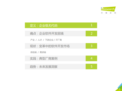 2021年中國(guó)企業(yè)級(jí)無代碼白皮書 信息技術(shù)咨詢服務(wù)的新篇章